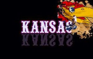 Meet your Posher, Padraic